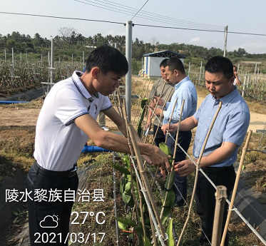 農(nóng)資不營(yíng)銷(xiāo) 專(zhuān)注做服務(wù)